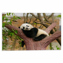Sleeping Giant Panda Baby Rugs 46793471
