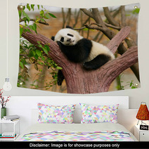 Sleeping Giant Panda Baby Wall Art 46793471