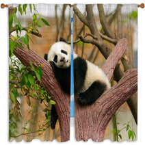 Sleeping Giant Panda Baby Window Curtains 46793471