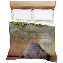 Sleeping Hippopotamus ???? Bedding 42852895