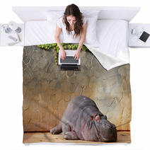 Sleeping Hippopotamus ???? Blankets 42852895