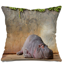 Sleeping Hippopotamus ???? Pillows 42852895