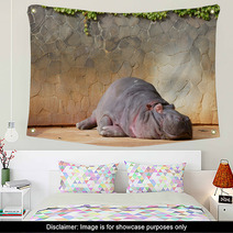 Sleeping Hippopotamus ???? Wall Art 42852895