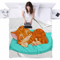Sleeping Kitten Blankets 47617405