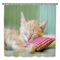 Sleeping Kitty Bath Decor 36326311