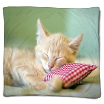 Sleeping Kitty Blankets 36326311