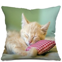 Sleeping Kitty Pillows 36326311