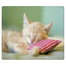 Sleeping Kitty Rugs 36326311