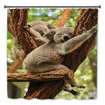 Sleeping Koalas Bath Decor 48423436