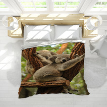 Sleeping Koalas Bedding 48423436