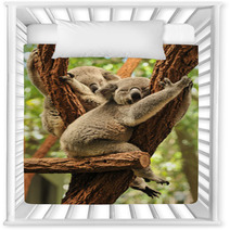 Sleeping Koalas Nursery Decor 48423436