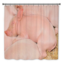 Sleeping Pigs Bath Decor 30298909