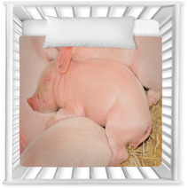 Sleeping Pigs Nursery Decor 30298909