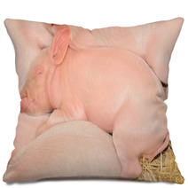 Sleeping Pigs Pillows 30298909