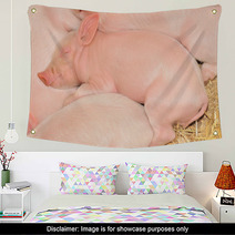 Sleeping Pigs Wall Art 30298909