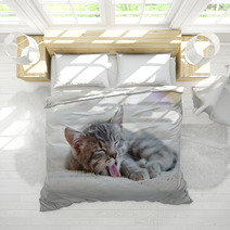 Sleepy Kitten Bedding 61663734