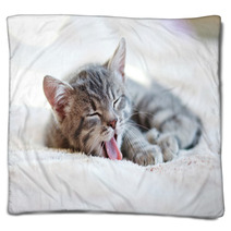 Sleepy Kitten Blankets 61663734
