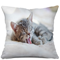 Sleepy Kitten Pillows 61663734