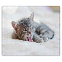 Sleepy Kitten Rugs 61663734