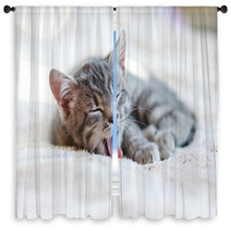 Sleepy Kitten Window Curtains 61663734