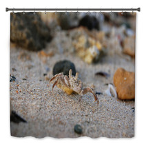 Small crab on the sand on his hind legs Bath Decor 99603186