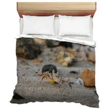 Small crab on the sand on his hind legs Bedding 99603186