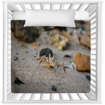 Small crab on the sand on his hind legs Nursery Decor 99603186