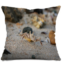 Small crab on the sand on his hind legs Pillows 99603186