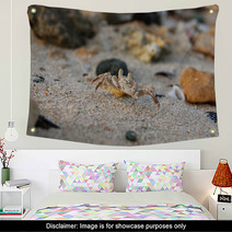 Small crab on the sand on his hind legs Wall Art 99603186