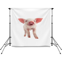 Smile Pig Backdrops 69923361