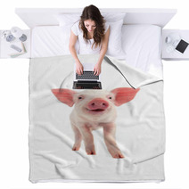 Smile Pig Blankets 69923361