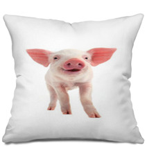 Smile Pig Pillows 69923361