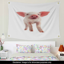 Smile Pig Wall Art 69923361