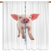 Smile Pig Window Curtains 69923361