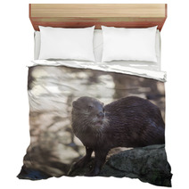 Smiled Otter On The Rock Bedding 98330591