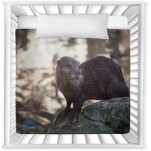 Smiled Otter On The Rock Nursery Decor 98330591