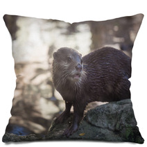 Smiled Otter On The Rock Pillows 98330591