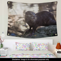 Smiled Otter On The Rock Wall Art 98330591