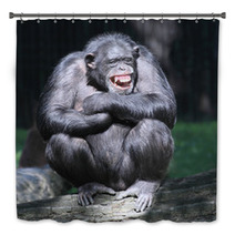 Smiling Happy Chimpanzee. Bath Decor 53931904