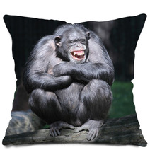 Smiling Happy Chimpanzee. Pillows 53931904