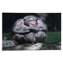 Smiling Happy Chimpanzee. Rugs 53931904