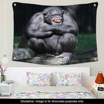 Smiling Happy Chimpanzee. Wall Art 53931904