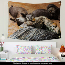 Smooth Coated Otter - Lutrogale Perspicillata - After A Swim In Wall Art 101323357