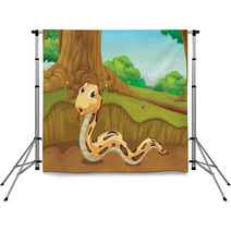 Snake In The Forest Backdrops 41032544