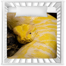 Snake Nursery Decor 65478952