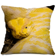 Snake Pillows 65478952