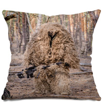 Sniper With Large-caliber Rifle In Forest/Sniper In Special Camouflage Suit With Large-caliber Rifle In Forest Pillows 93416080