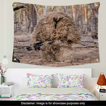 Sniper With Large-caliber Rifle In Forest/Sniper In Special Camouflage Suit With Large-caliber Rifle In Forest Wall Art 93416080