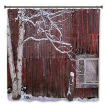 Snow Covered Birch Tree And A Red Barn Bath Decor 222233165