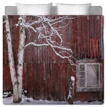 Snow Covered Birch Tree And A Red Barn Bedding 222233165